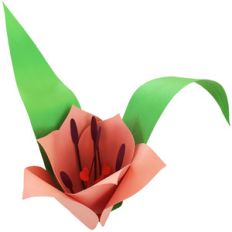 3d flower pointed edge tulip