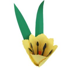 3d flower ruffle edge tulip
