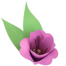 3d flower scallop edge tulip
