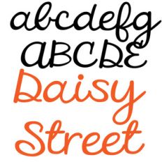 zp daisy street
