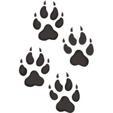 wolf tracks