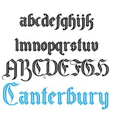 snf canterbury
