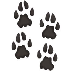 panther tracks
