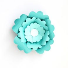 happy flower