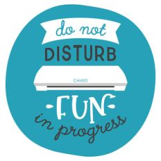 fun in progress