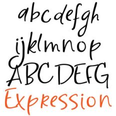 pn expression