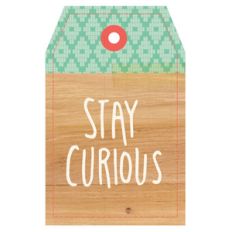 stay curious tag