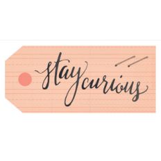 stay curious tag