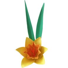 3d flower daffodil