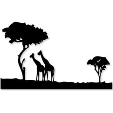 safari