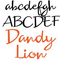 zp dandy lion