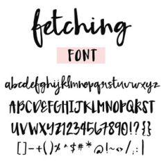 fetching font by angie makes