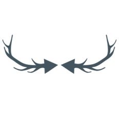 antler arrows