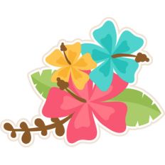 hibiscus flowers