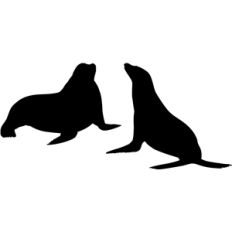 sea lion silhouettes