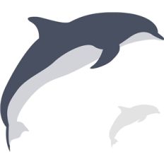 bottle-nosed dolphin