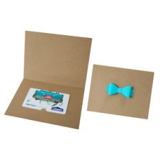 a2 gift card holder