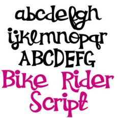 zp bike rider script