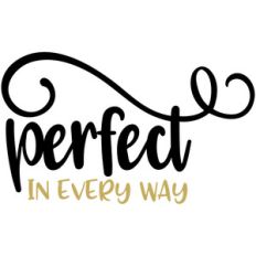 baby t-shirt: perfect