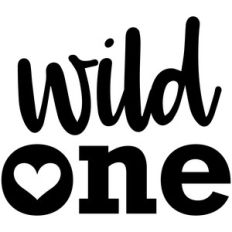 baby t-shirt: wild one