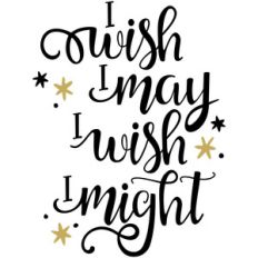 baby t-shirt: i wish i may