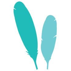 feathers set
