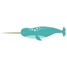 3 layered narwhal