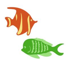 2 layered angel fish