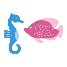 seahorse and fish