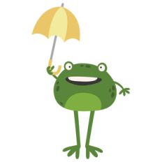 unfrogettable frog in the rain