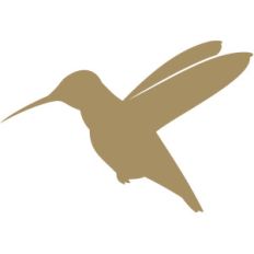 hummingbird