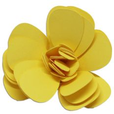 rolled flower