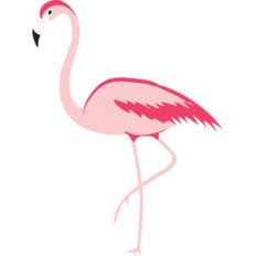 flamingo