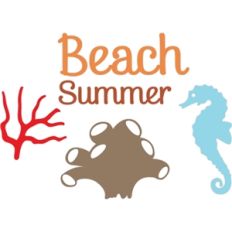 beach summer