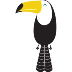 toucan bird