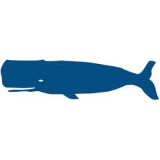 whale