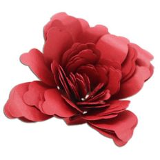 rolled flower set