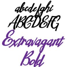 zp extravagant bold