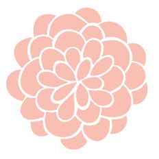 Dahlia flower