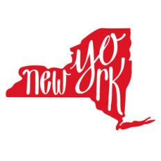 new york state script