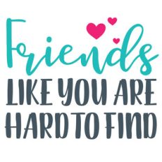 friends like you are hard to find