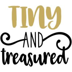 baby t-shirt: tiny and treasured