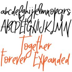 zp together forever expanded