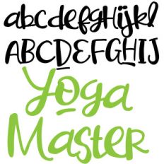 pn yoga master