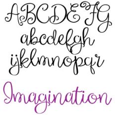 pn imagination