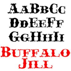 ldj buffalo jill