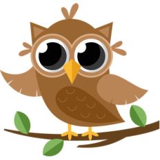 forrest owl