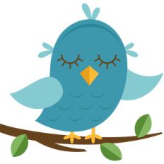 bird in tree