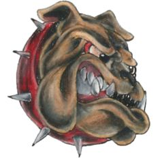 bull dog