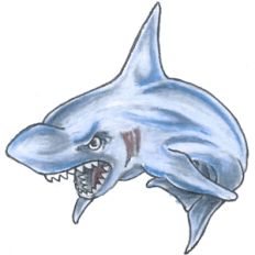 shark